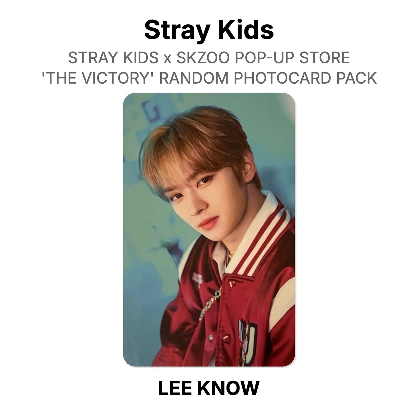 Stray Kids x SKZOO POP-UP STORE 'THE VICTORY' RANDOM PHOTOCARD PACK Offizielle Photocard