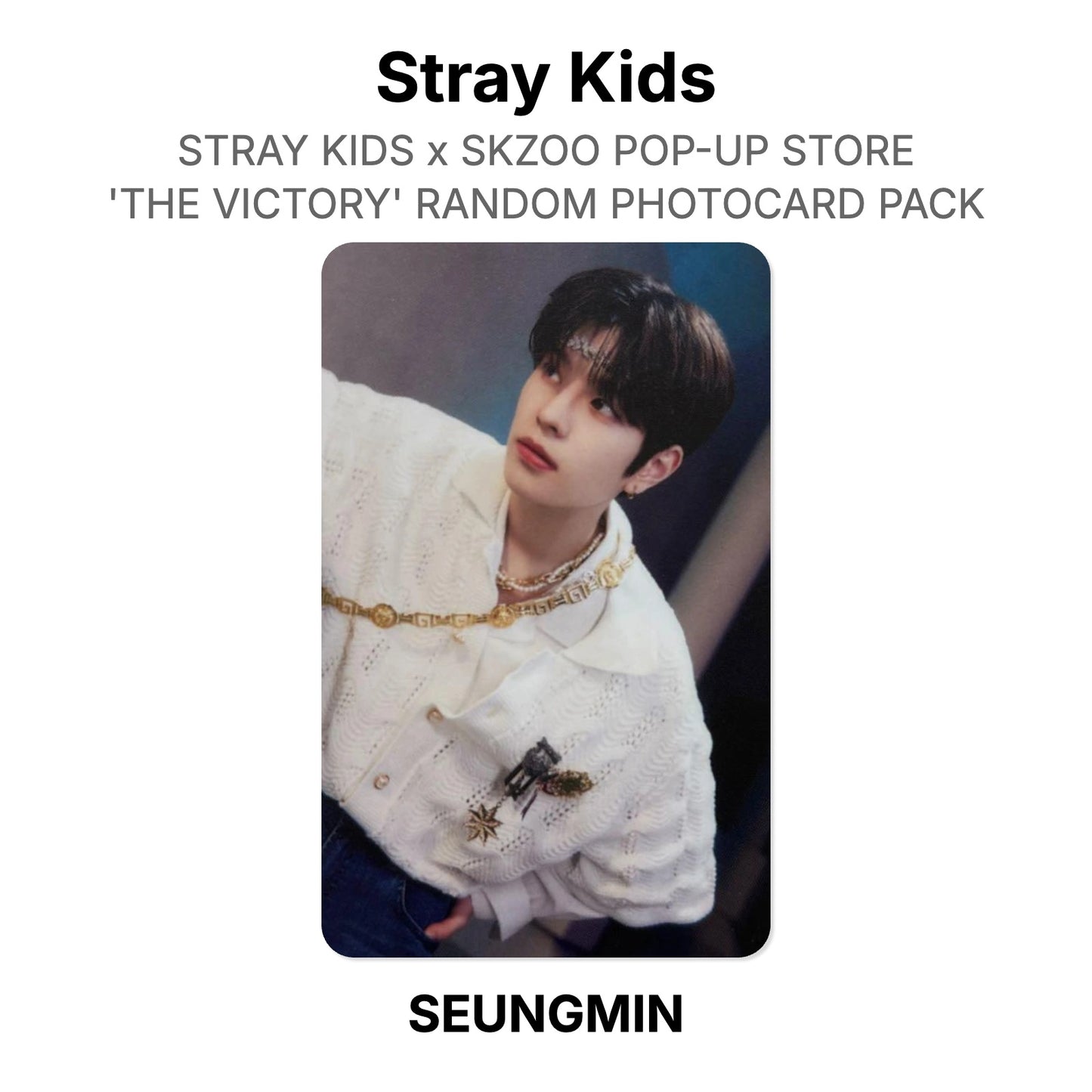 Stray Kids x SKZOO POP-UP STORE 'THE VICTORY' RANDOM PHOTOCARD PACK Offizielle Photocard