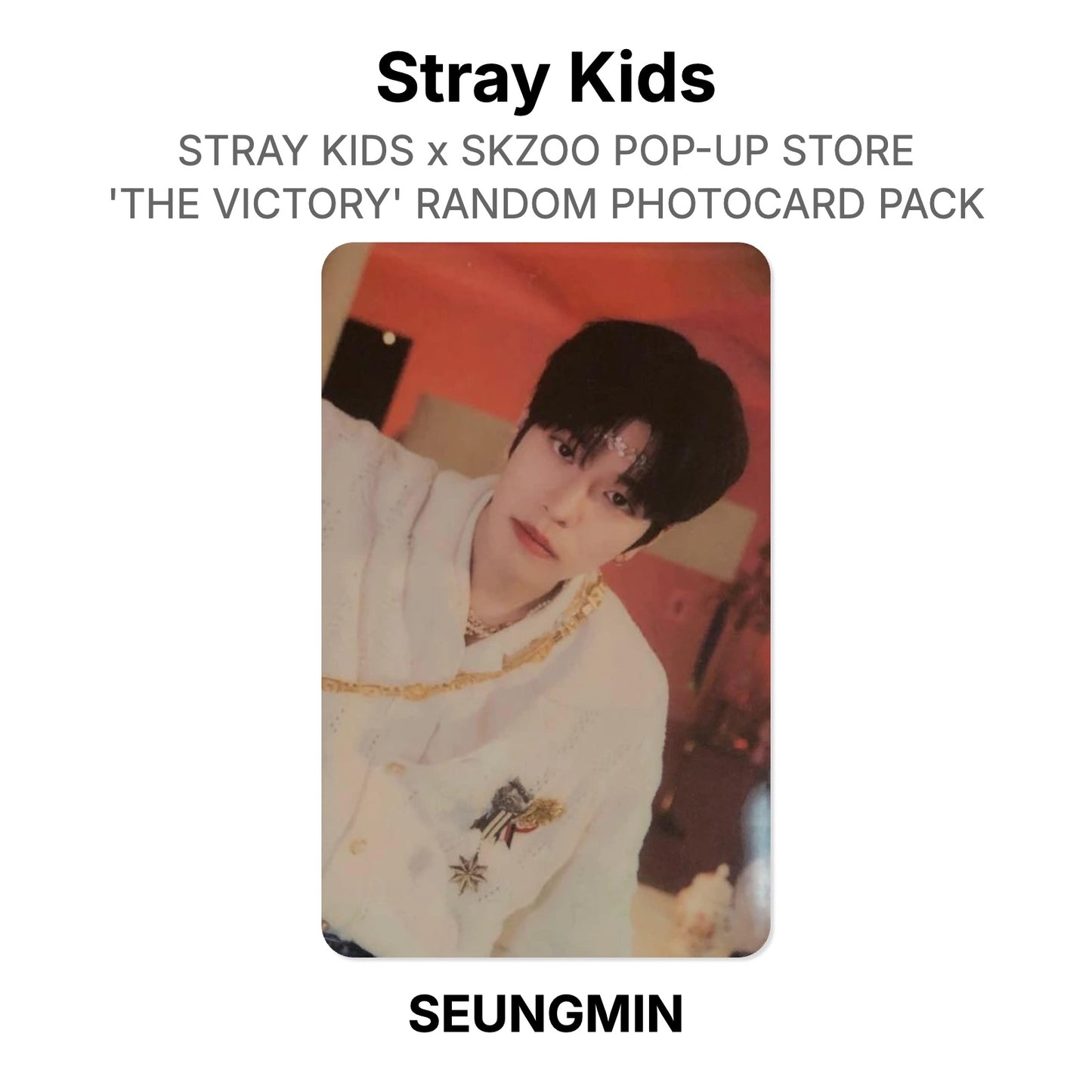 Stray Kids x SKZOO POP-UP STORE 'THE VICTORY' RANDOM PHOTOCARD PACK Offizielle Photocard