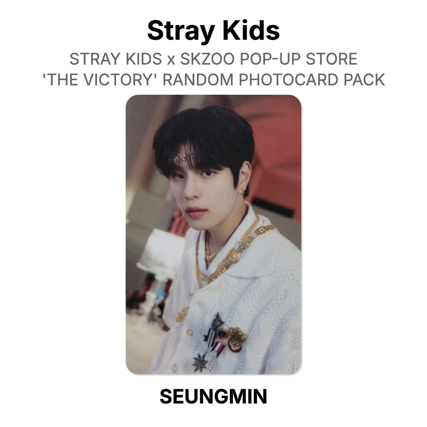 Stray Kids x SKZOO POP-UP STORE 'THE VICTORY' RANDOM PHOTOCARD PACK Offizielle Photocard