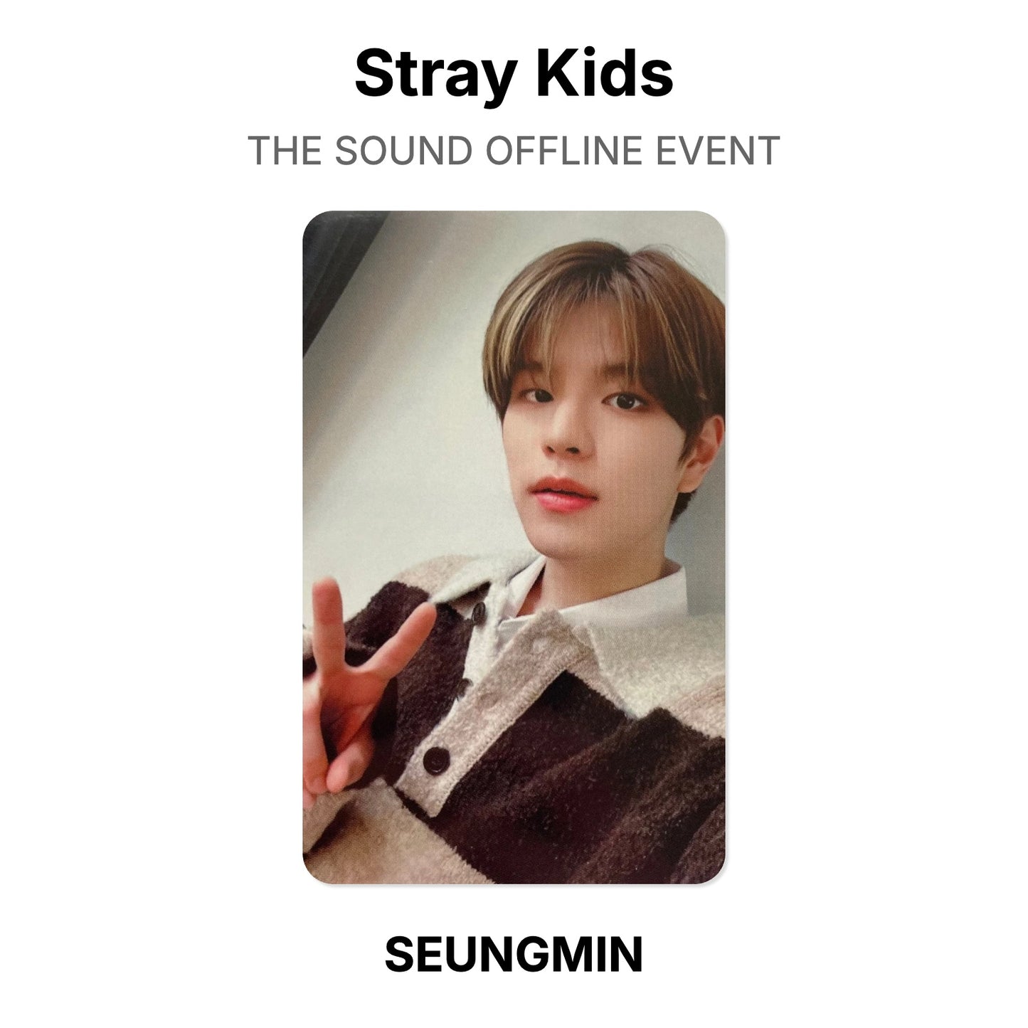 Stray Kids THE SOUND OFFLINE EVENT virallinen Photocard
