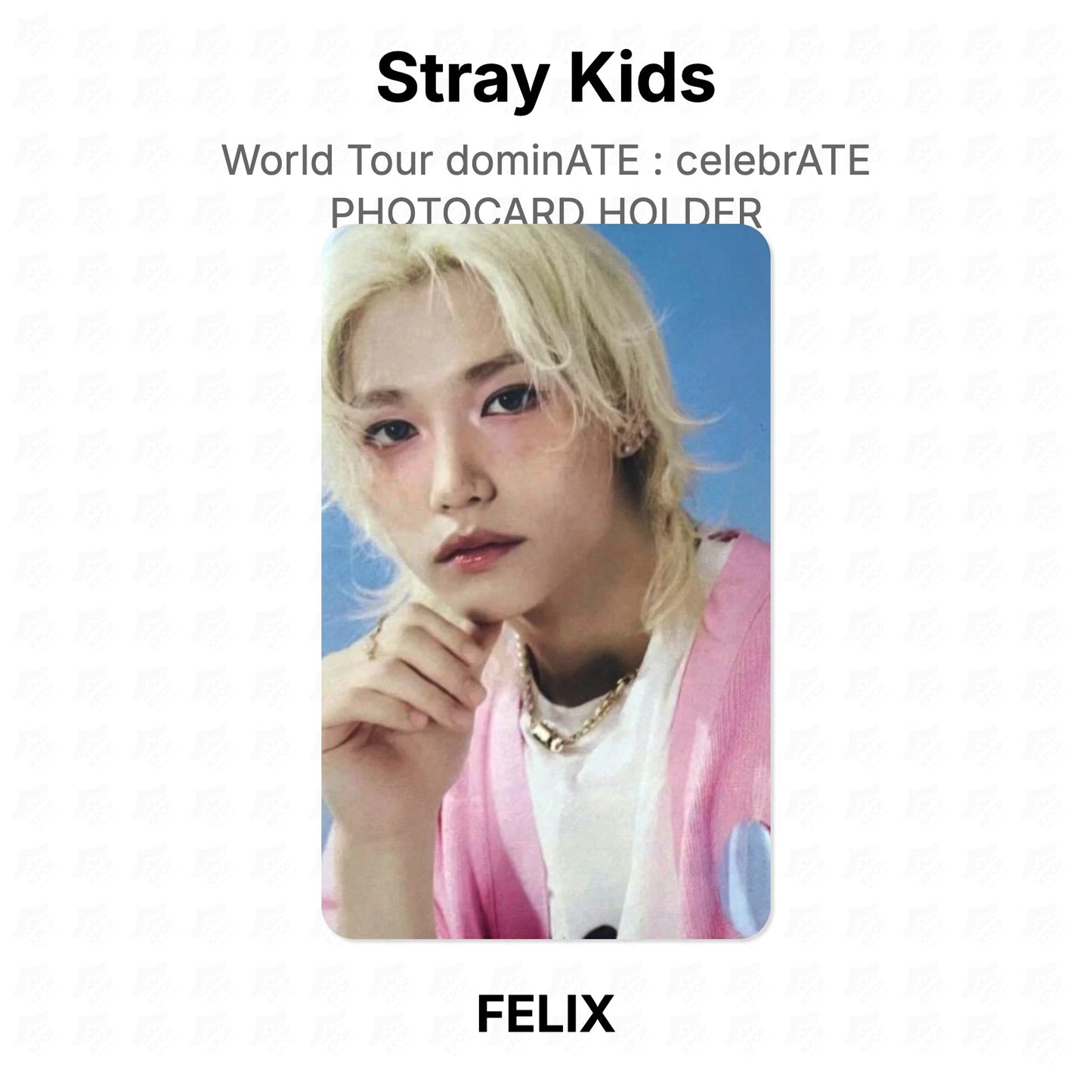 Stray Kids World Tour dominATE : celebrATE PHOTOCARD HOLDER Official Photocard