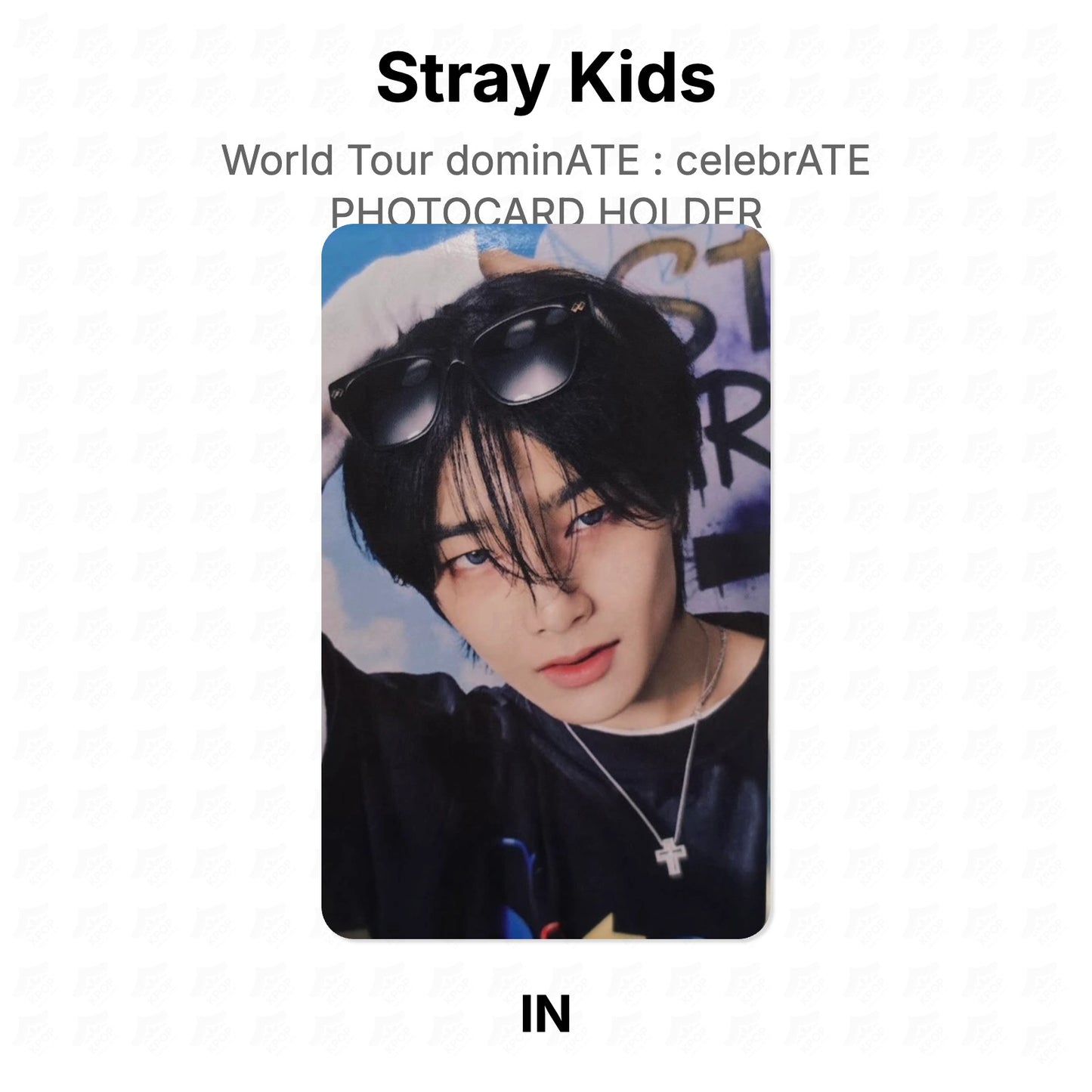 Stray Kids World Tour dominATE : celebrATE PHOTOCARD HOLDER Official Photocard