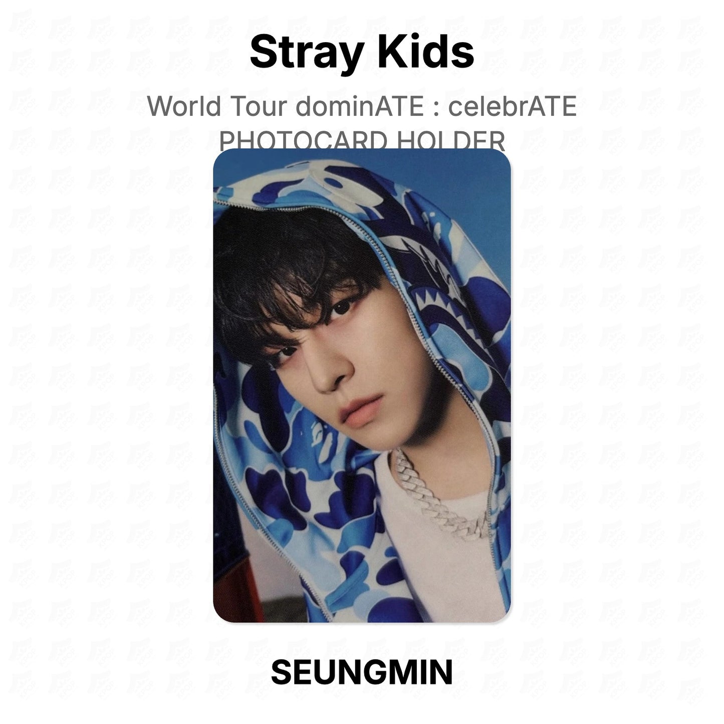 Stray Kids World Tour dominATE : celebrATE PHOTOCARD HOLDER Official Photocard