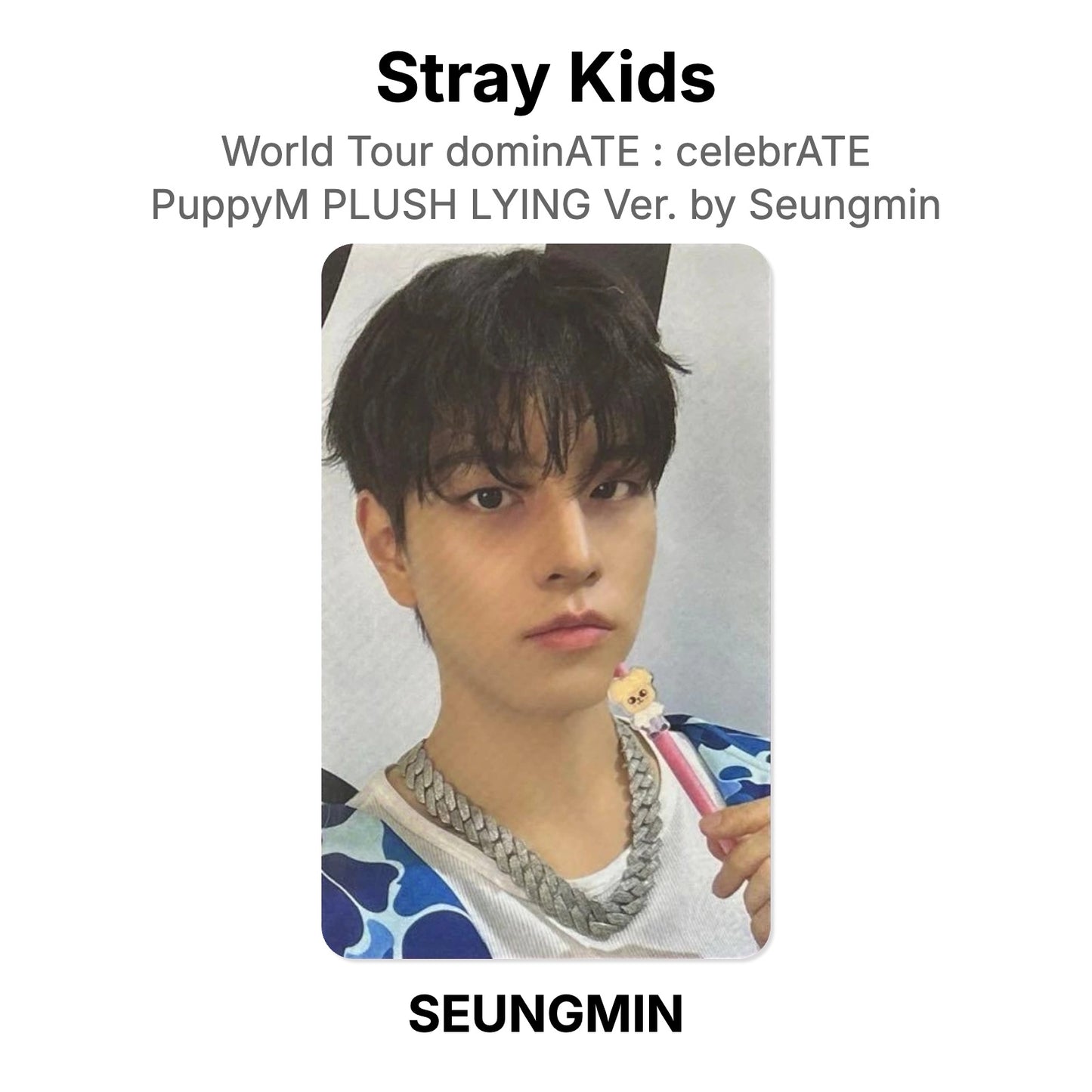 Stray Kids World Tour dominATE : celebrATE PuppyM PLUSH LYING Ver. by Seungmin Official Photocard