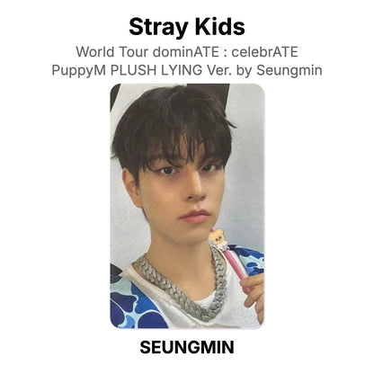 Stray Kids World Tour dominATE : celebrATE PuppyM PLUSH LYING Ver. by Seungmin Official Photocard