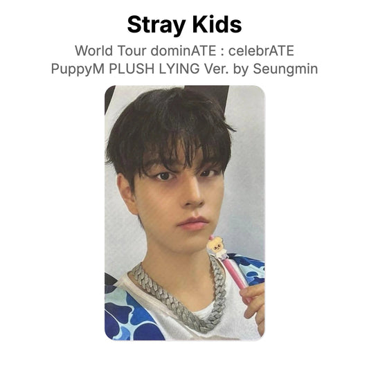 Stray Kids World Tour dominATE : celebrATE PuppyM PLUSH LYING Ver. by Seungmin Official Photocard