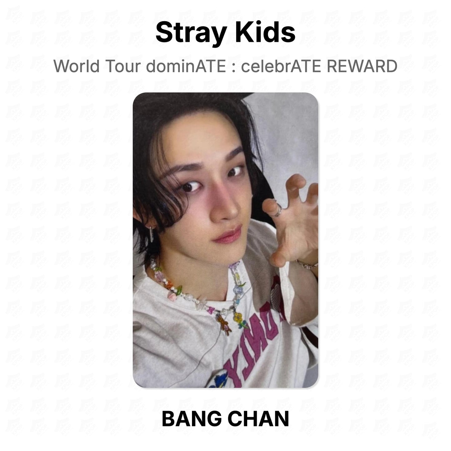 Stray Kids World Tour dominATE : celebrATE REWARD โฟโต้การ์ดของแท้