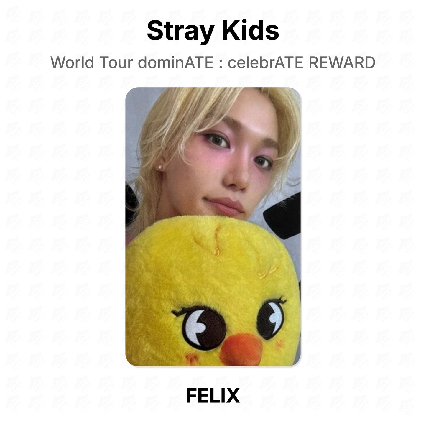 Stray Kids World Tour dominATE : celebrATE REWARD โฟโต้การ์ดของแท้