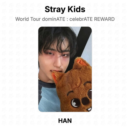 Stray Kids World Tour dominATE : celebrATE REWARD โฟโต้การ์ดของแท้