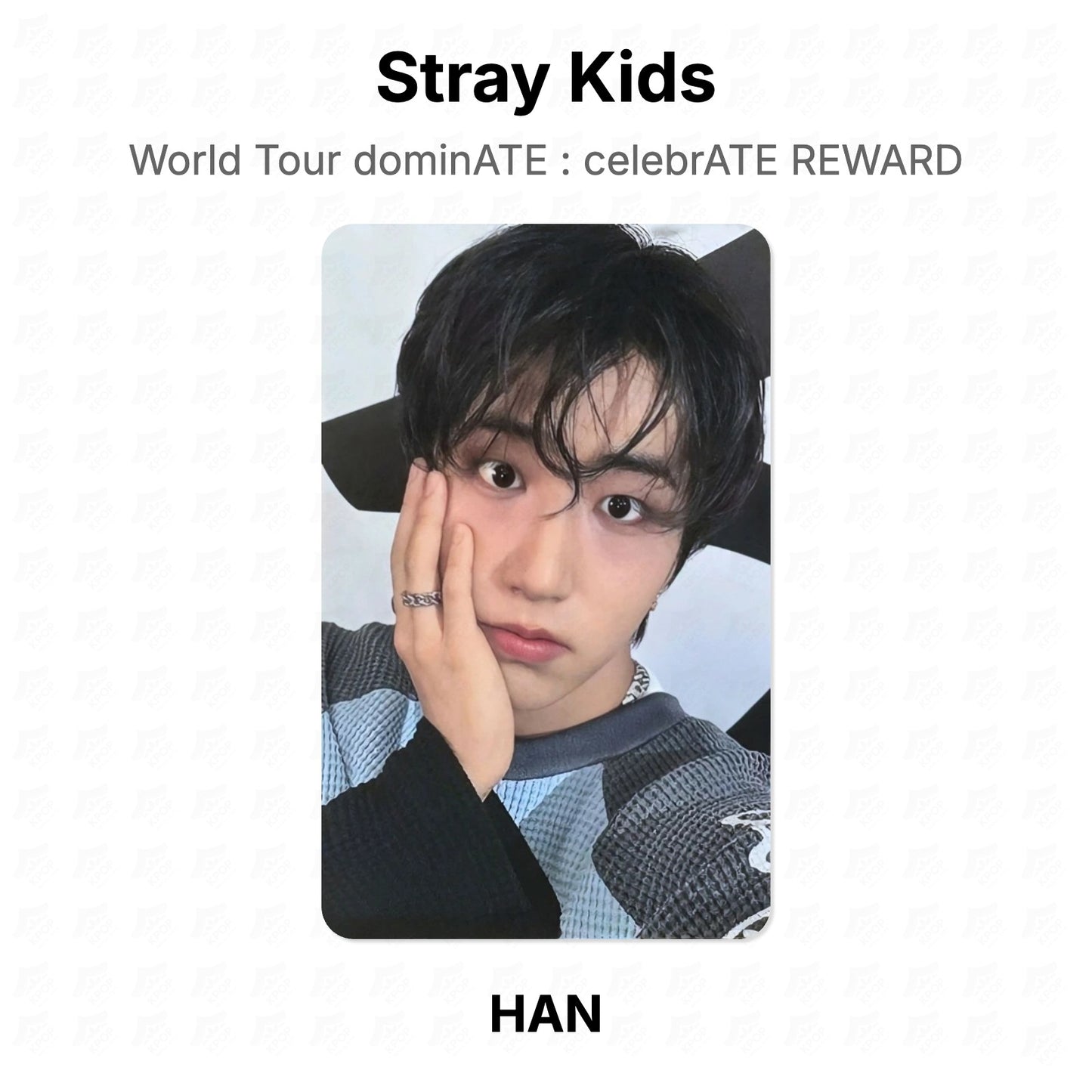 Stray Kids World Tour dominATE : celebrATE REWARD โฟโต้การ์ดของแท้