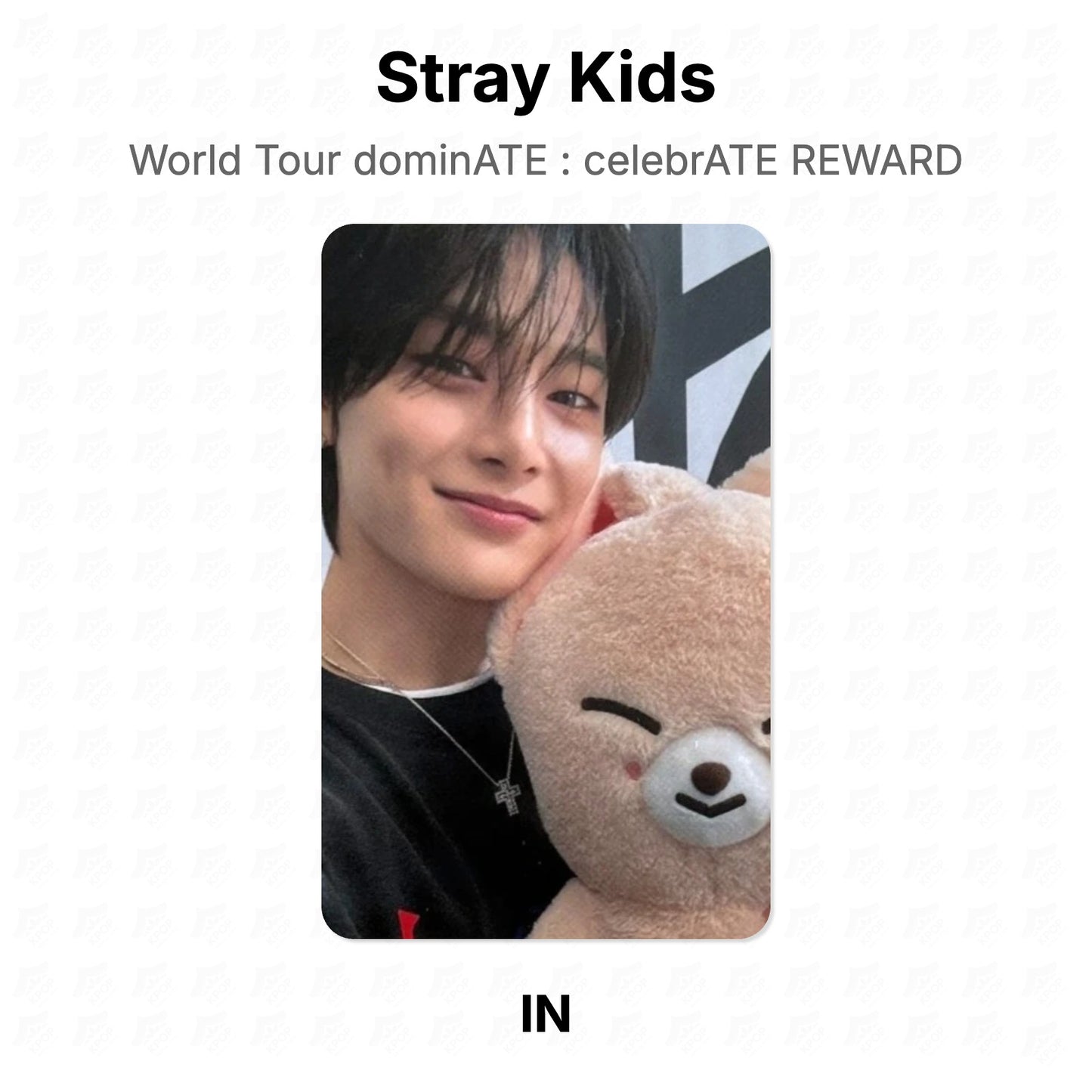 Stray Kids World Tour dominATE : celebrATE REWARD โฟโต้การ์ดของแท้