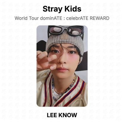 Stray Kids World Tour dominATE : celebrATE REWARD โฟโต้การ์ดของแท้
