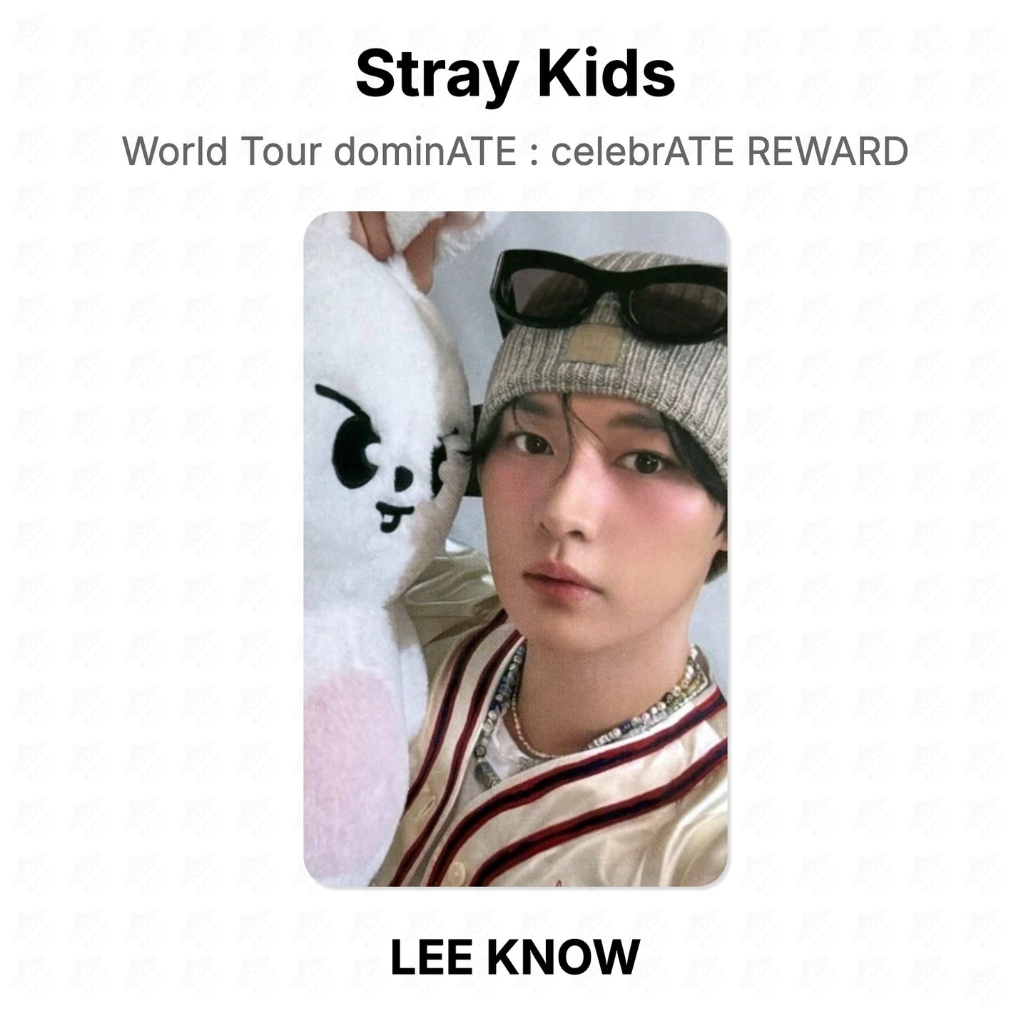 Stray Kids World Tour dominATE : celebrATE REWARD โฟโต้การ์ดของแท้