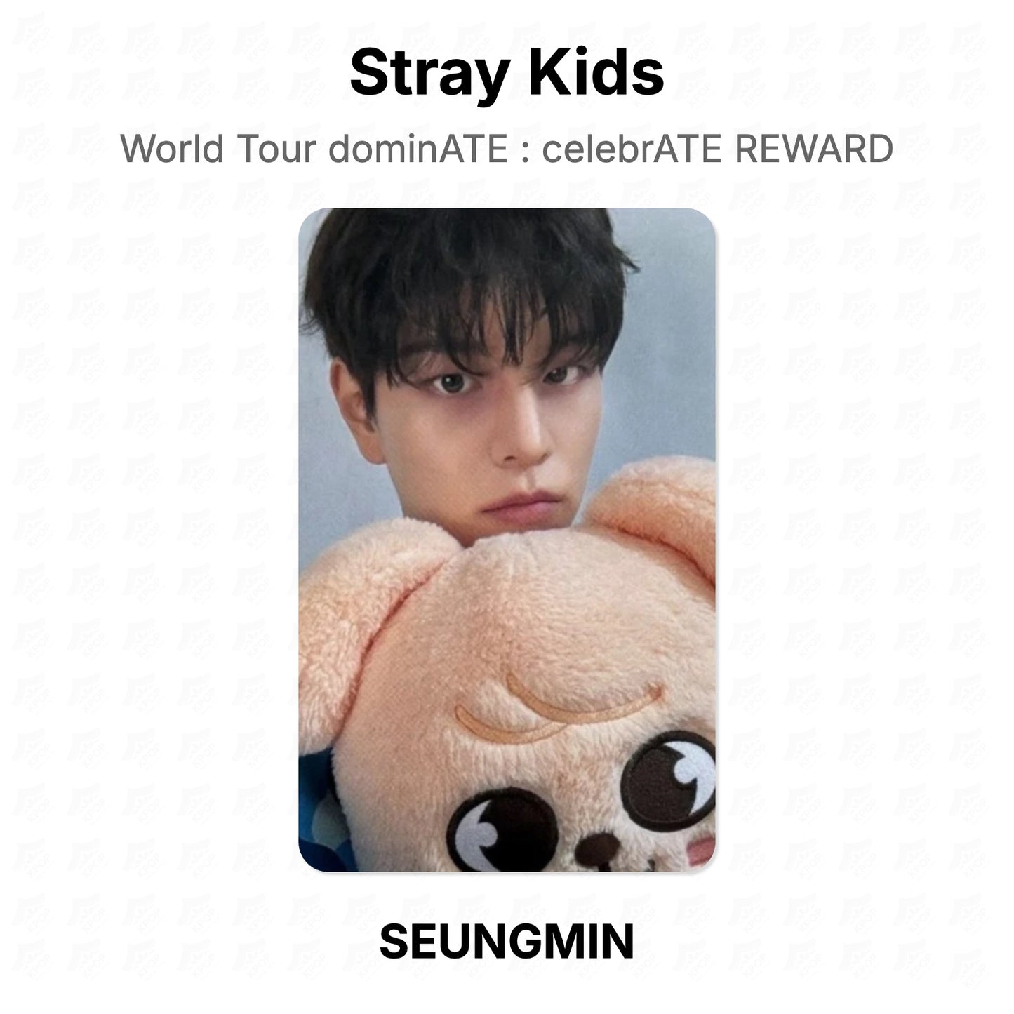 Stray Kids World Tour dominATE : celebrATE REWARD โฟโต้การ์ดของแท้