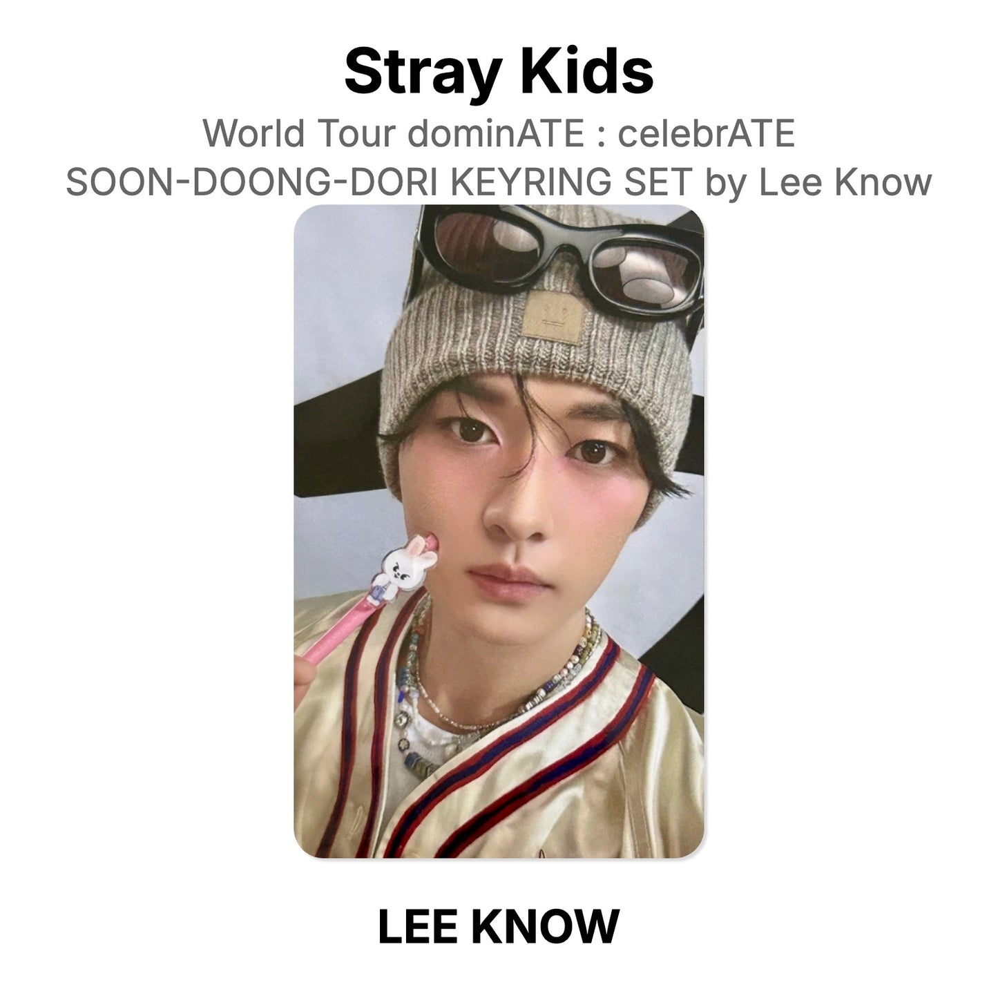 Stray Kids World Tour dominATE : celebrATE SOON-DOONG-DORI KEYRING SET by Lee Know Official Photocard