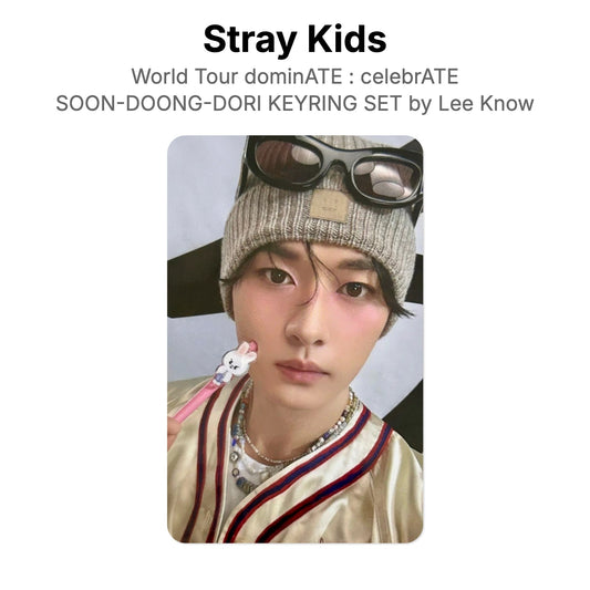 Stray Kids World Tour dominATE : celebrATE SOON-DOONG-DORI KEYRING SET by Lee Know Official Photocard