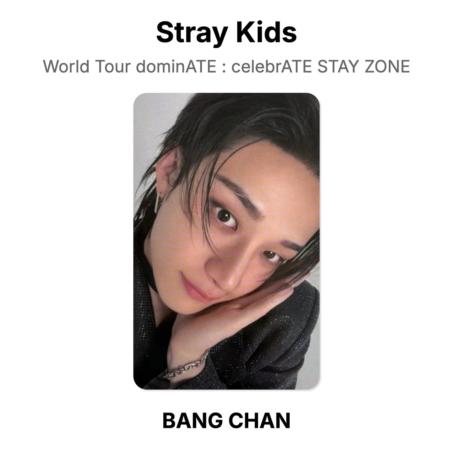 Stray Kids World Tour dominATE : celebrATE STAY ZONE Offizielle Photocard