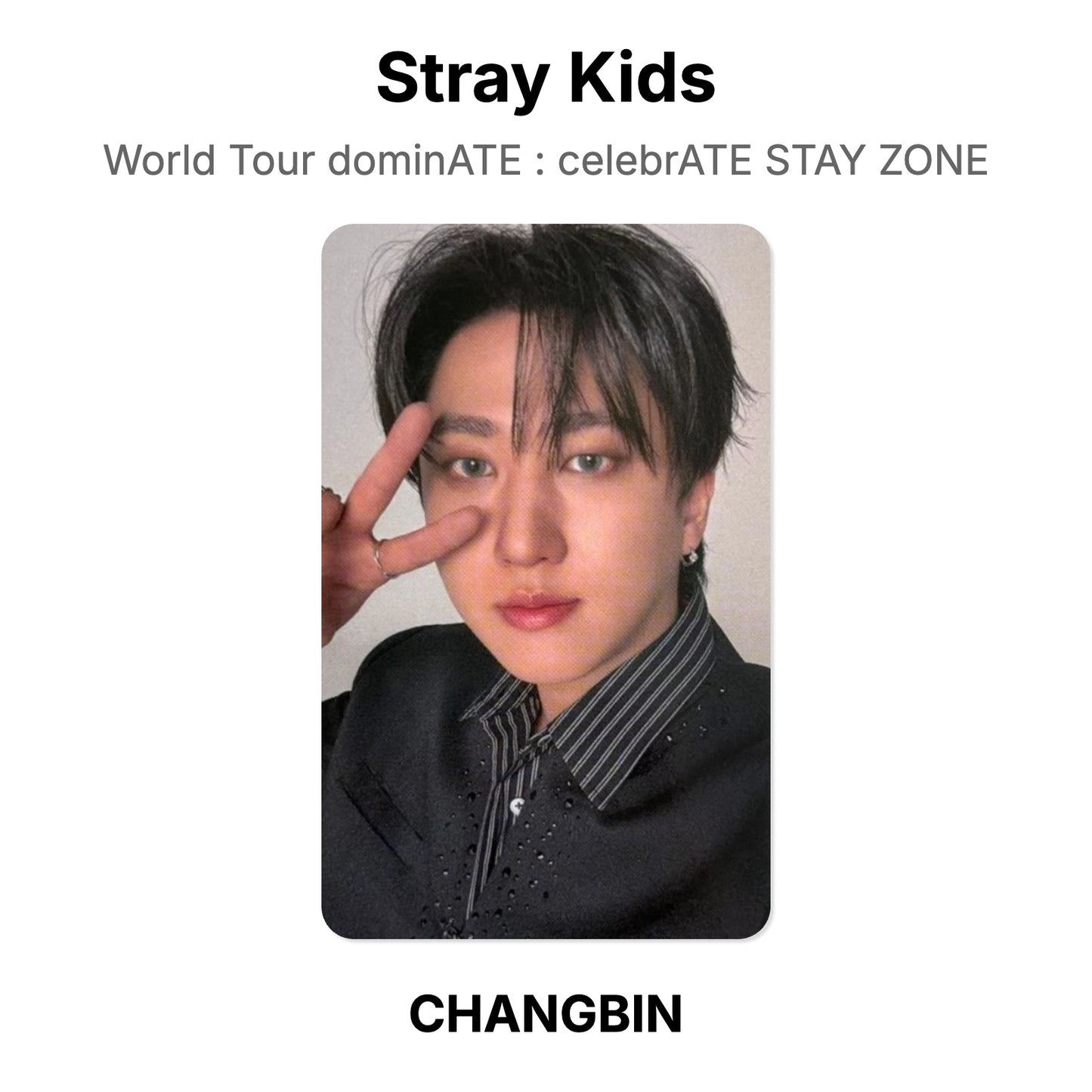 Stray Kids World Tour dominATE : celebrATE STAY ZONE Offizielle Photocard