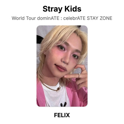 Stray Kids World Tour dominATE : celebrATE STAY ZONE Offizielle Photocard