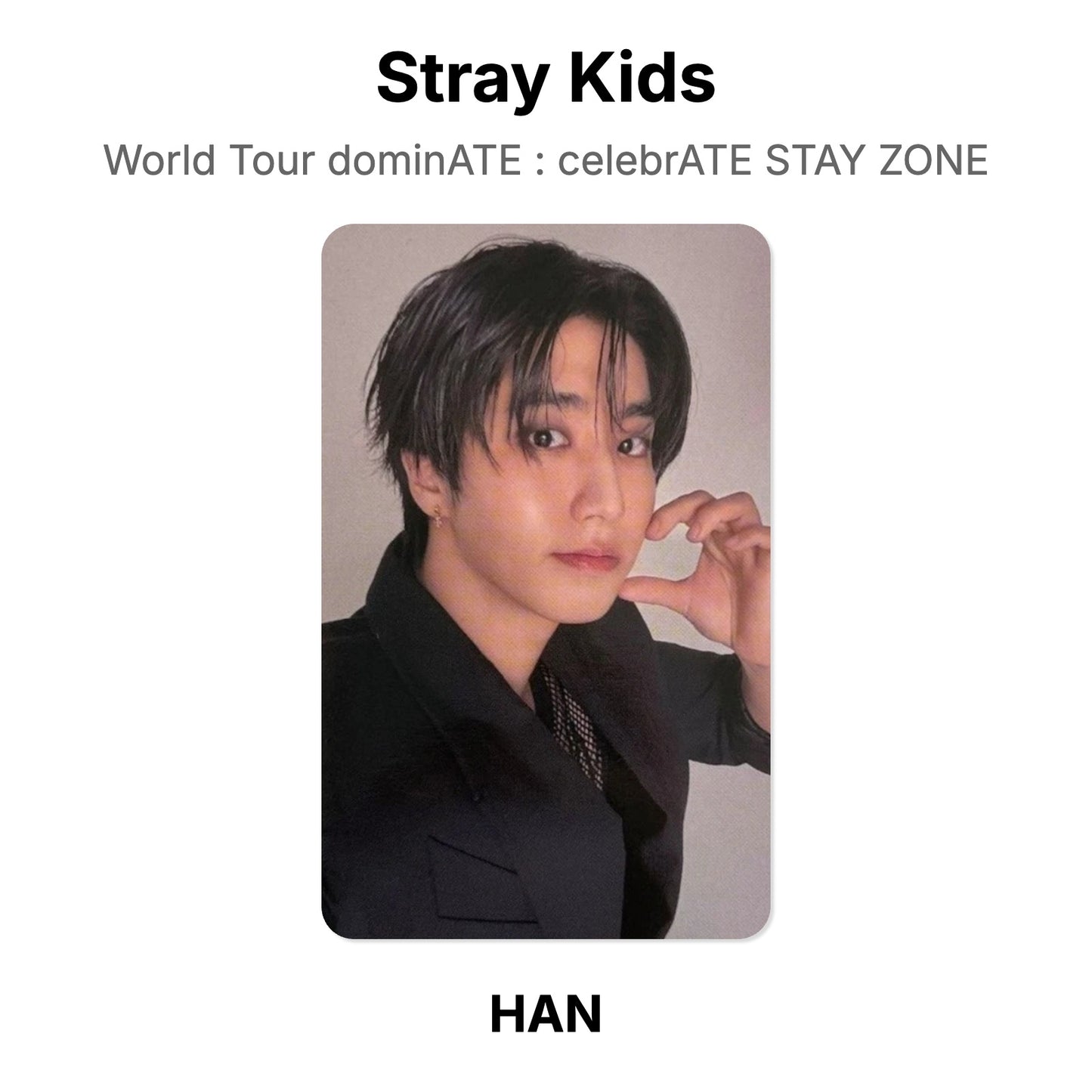 Stray Kids World Tour dominATE : celebrATE STAY ZONE Offizielle Photocard