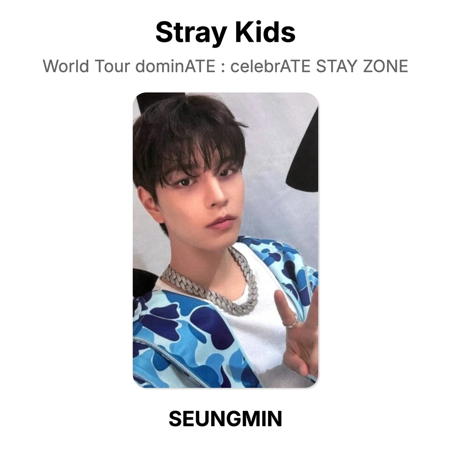 Stray Kids World Tour dominATE : celebrATE STAY ZONE Offizielle Photocard