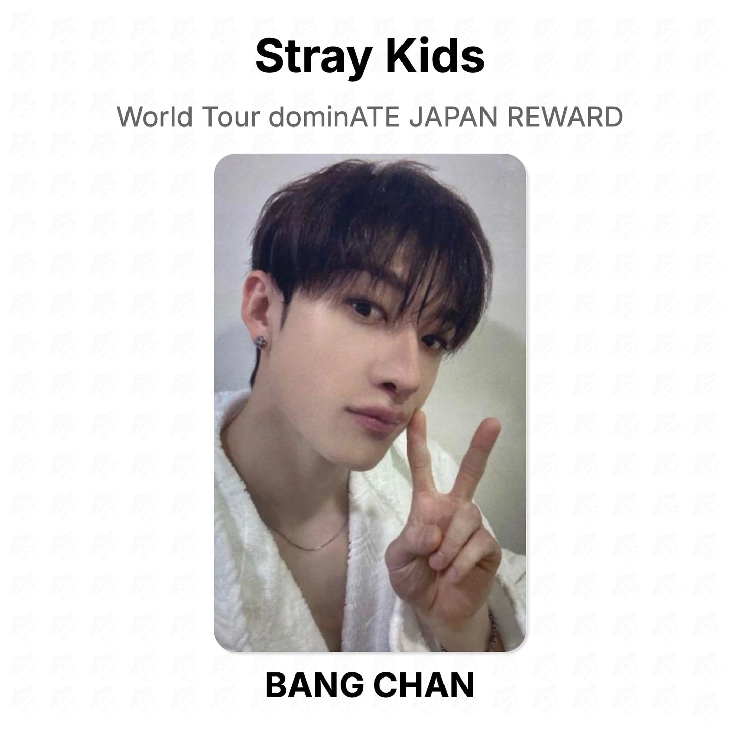 Stray Kids World Tour dominATE JAPAN REWARD Official Photocard