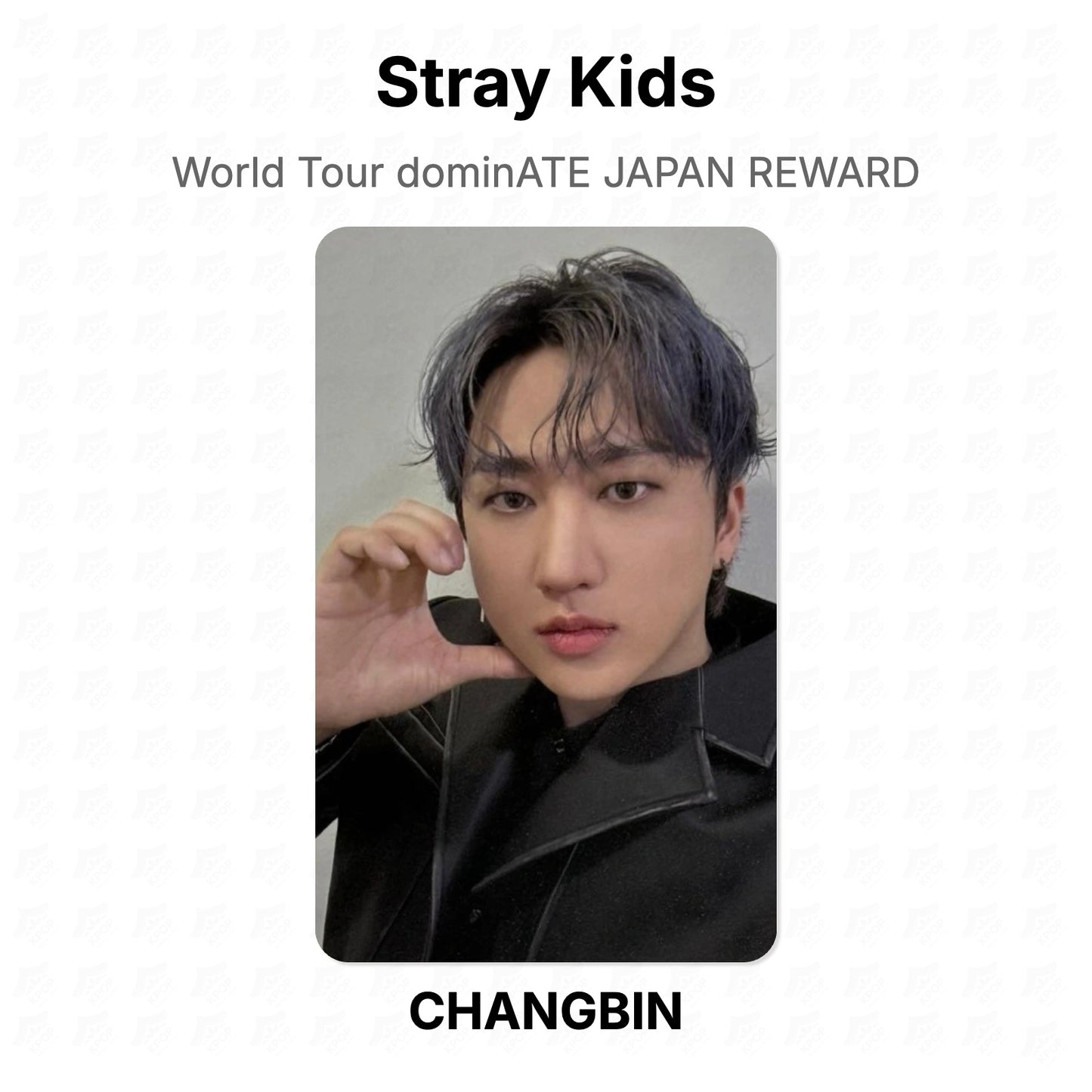 Stray Kids World Tour dominATE JAPAN REWARD Official Photocard