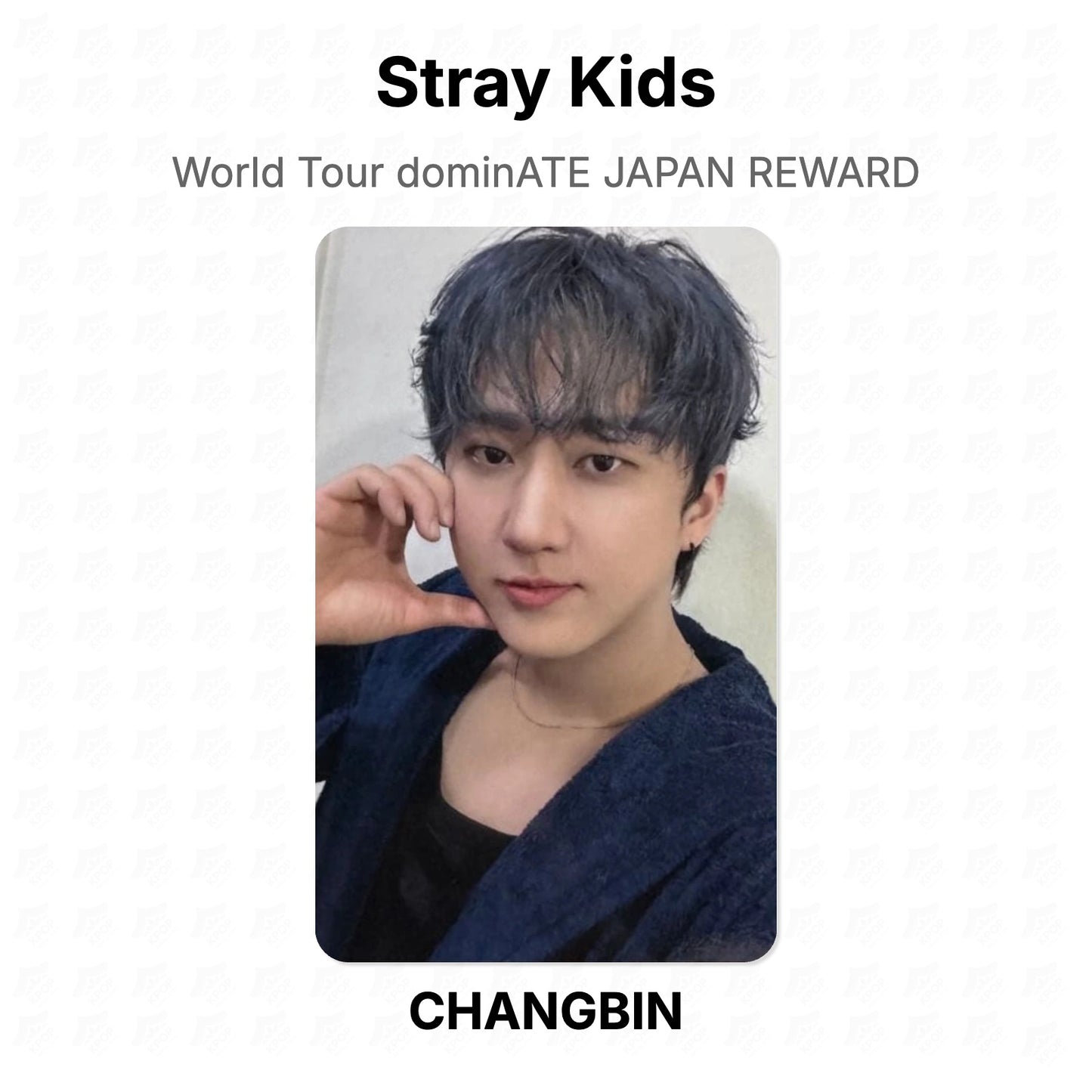 Stray Kids World Tour dominATE JAPAN REWARD Official Photocard