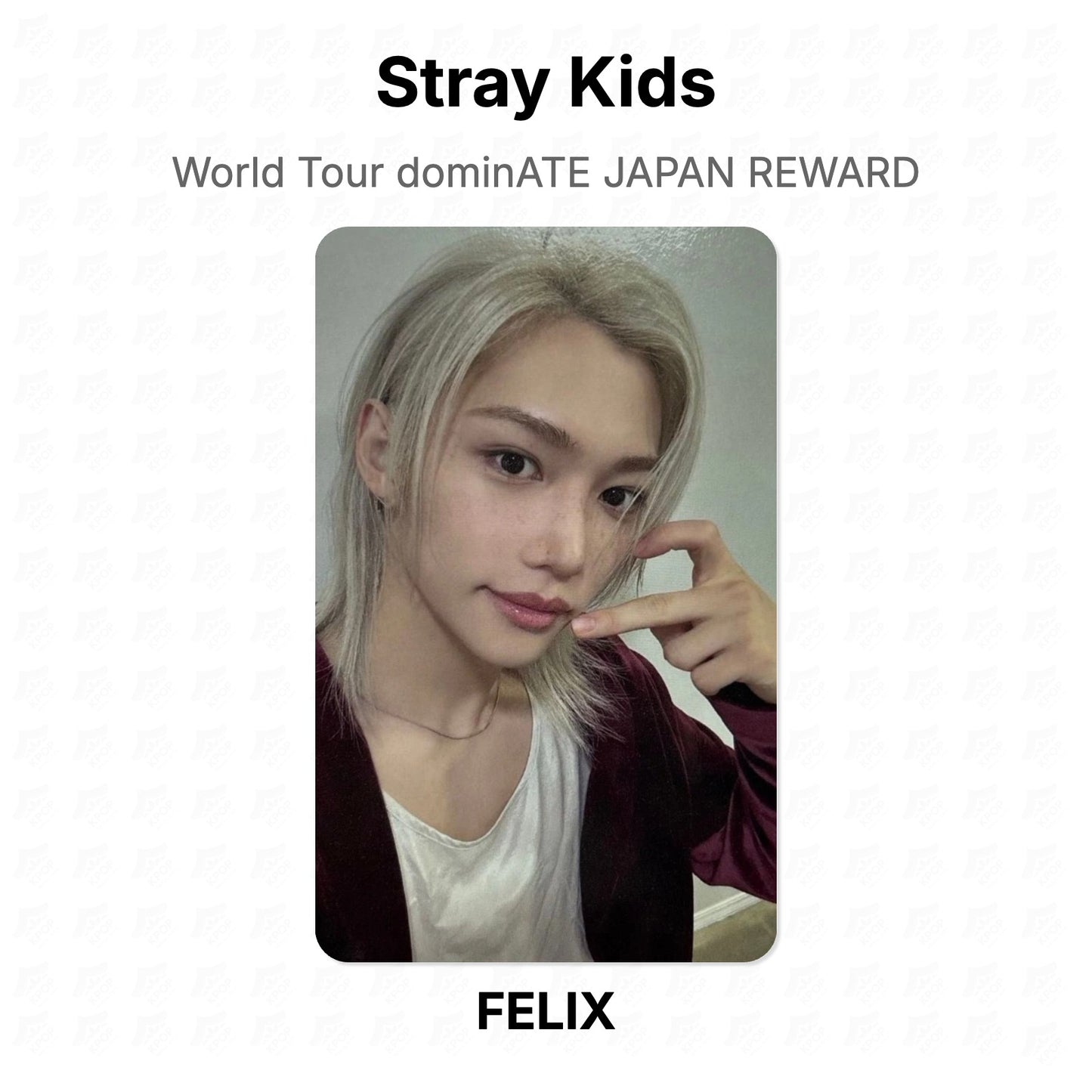 Stray Kids World Tour dominATE JAPAN REWARD Official Photocard
