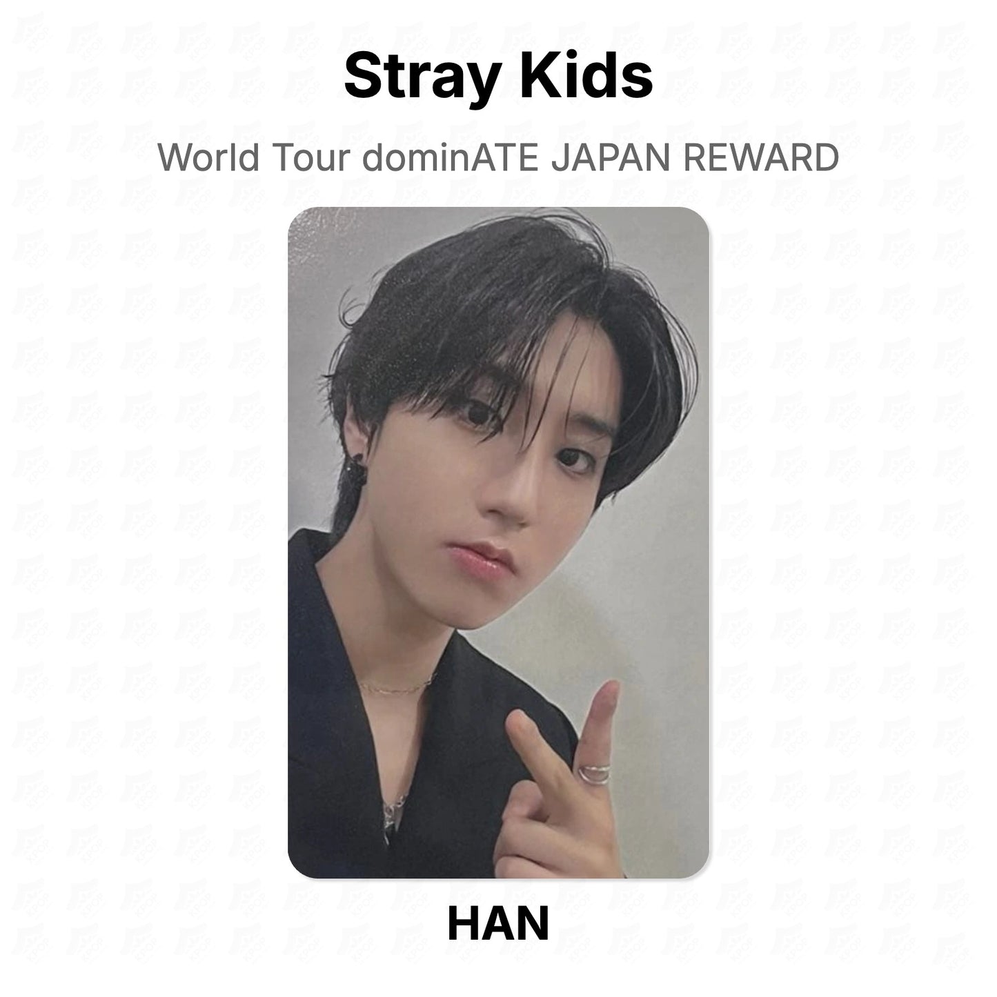Stray Kids World Tour dominATE JAPAN REWARD Official Photocard