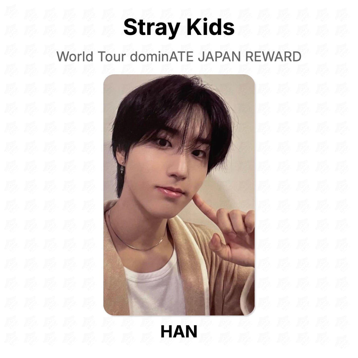 Stray Kids World Tour dominATE JAPAN REWARD Official Photocard