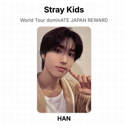 Stray Kids World Tour dominATE JAPAN REWARD Official Photocard