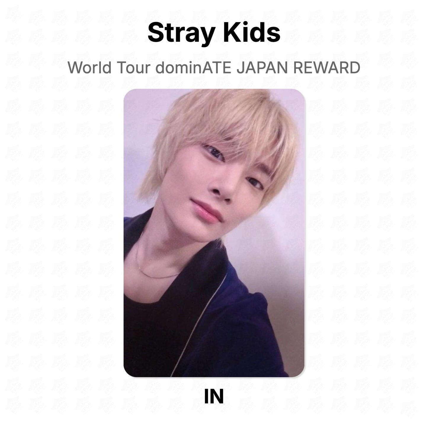 Stray Kids World Tour dominATE JAPAN REWARD Official Photocard