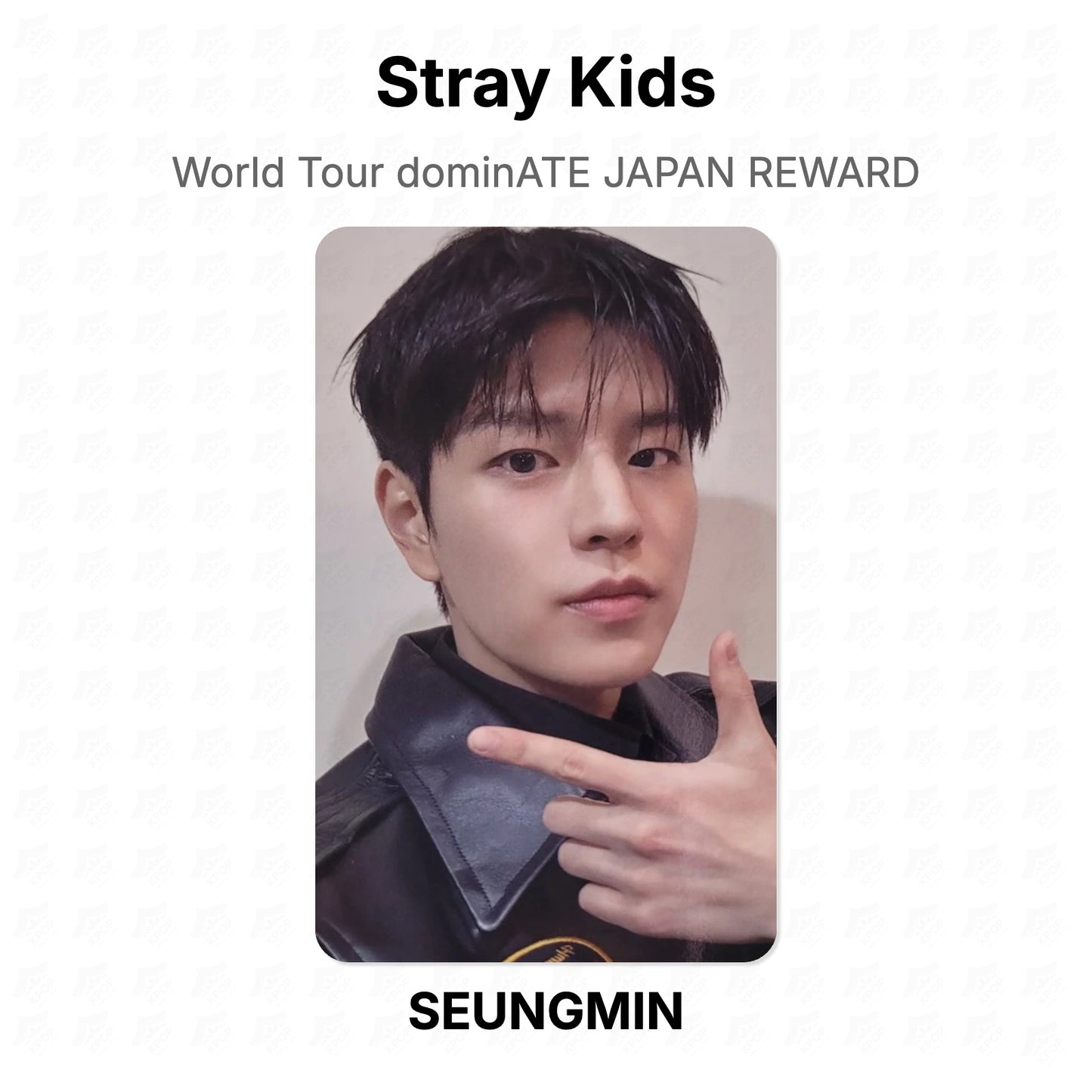 Stray Kids World Tour dominATE JAPAN REWARD Official Photocard