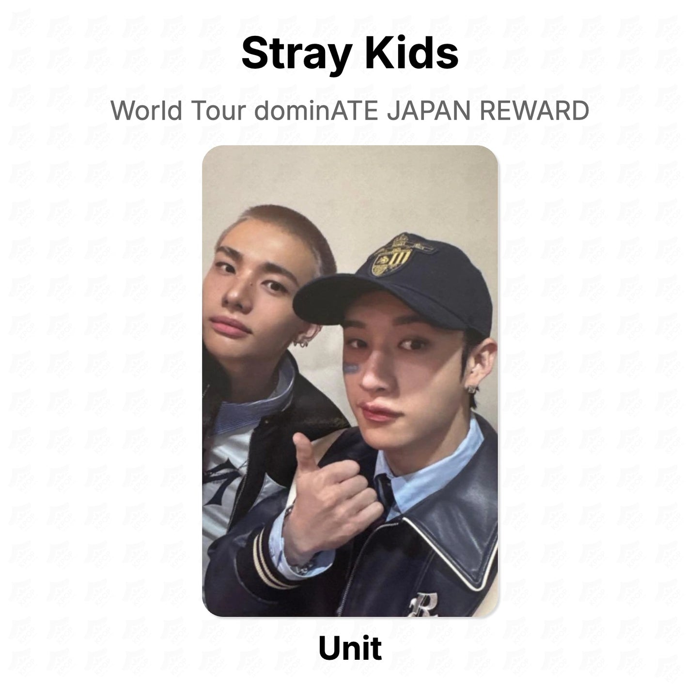 Stray Kids World Tour dominATE JAPAN REWARD Official Photocard