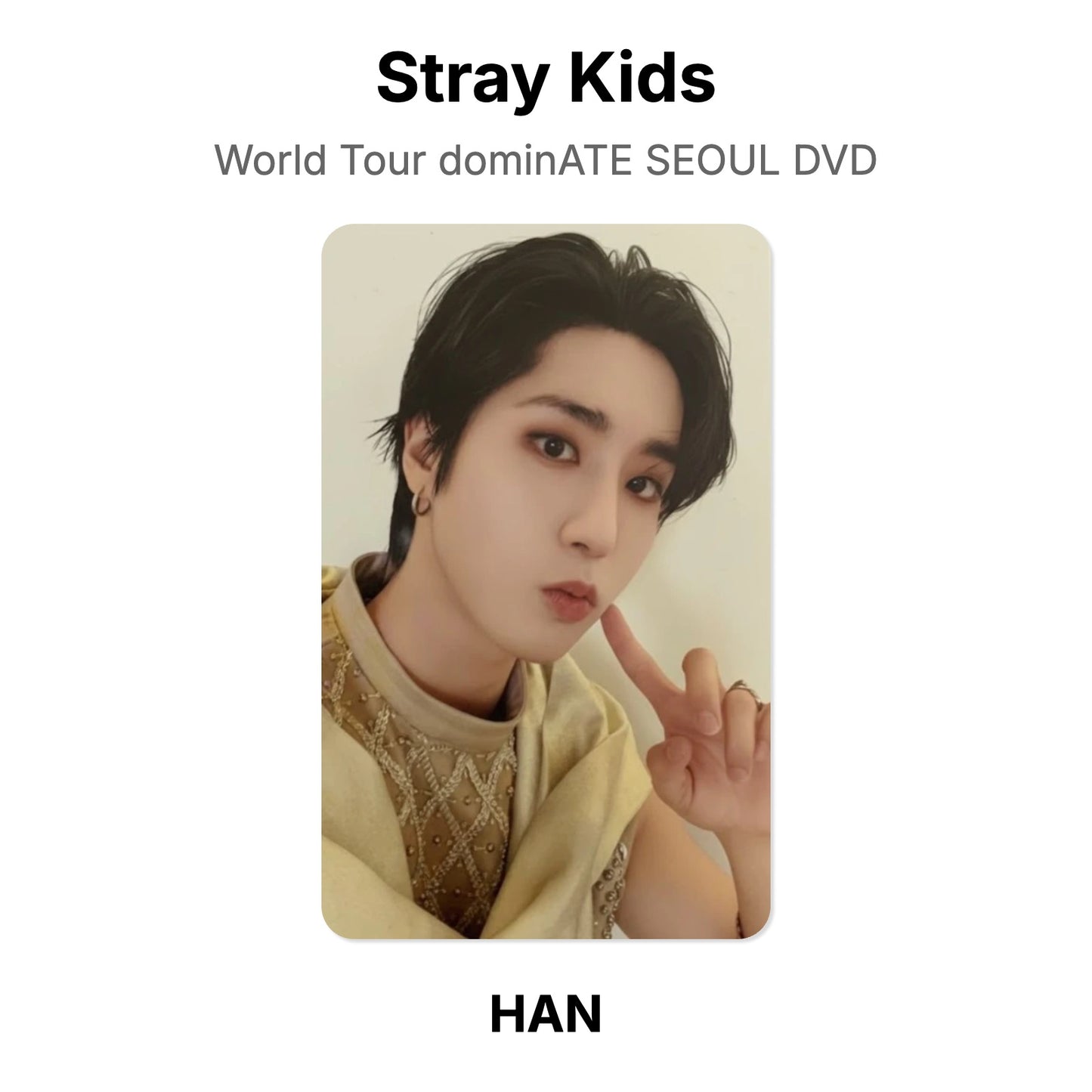 Stray Kids World Tour dominATE SEOUL DVD photocard oficial