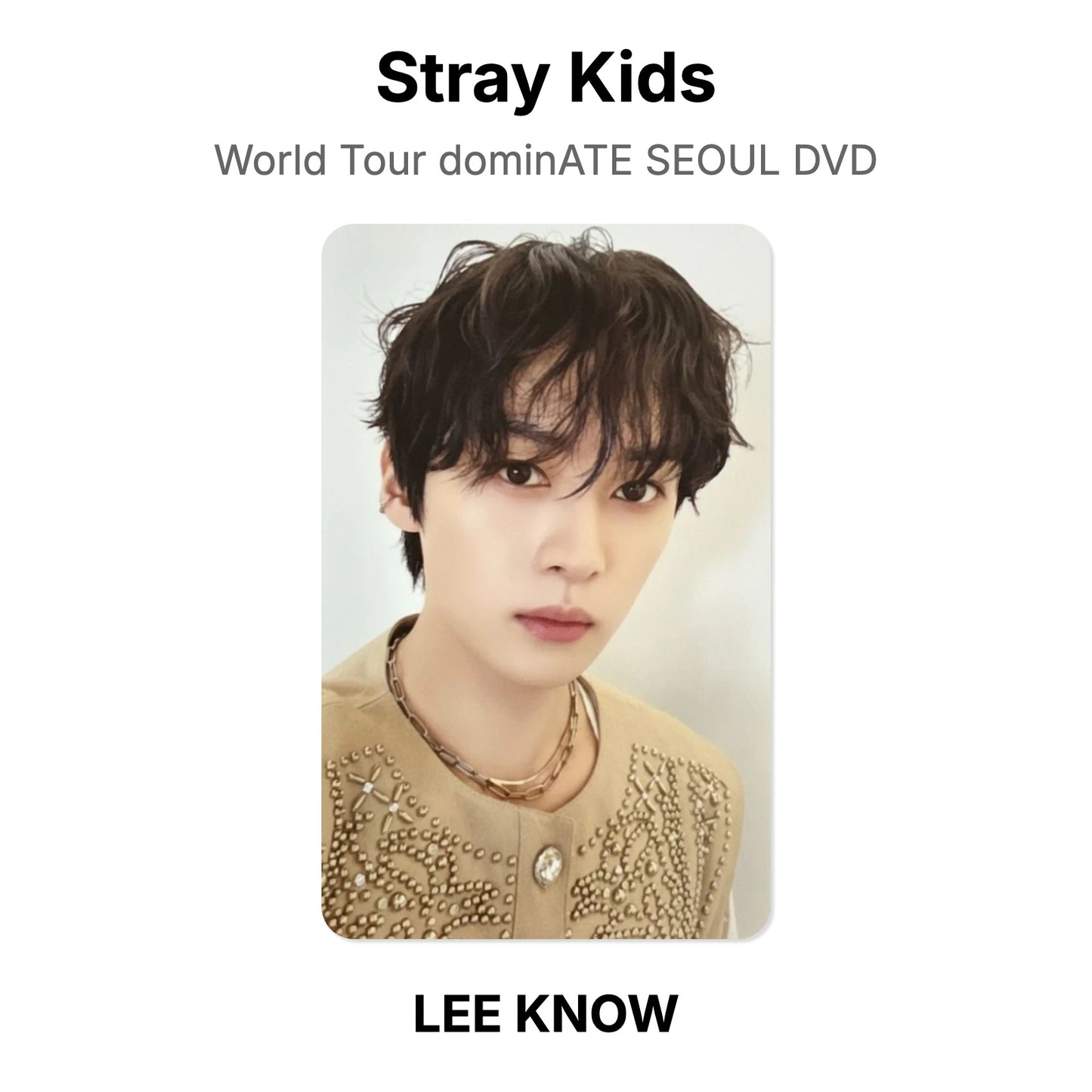 Stray Kids World Tour dominATE SEOUL DVD photocard oficial