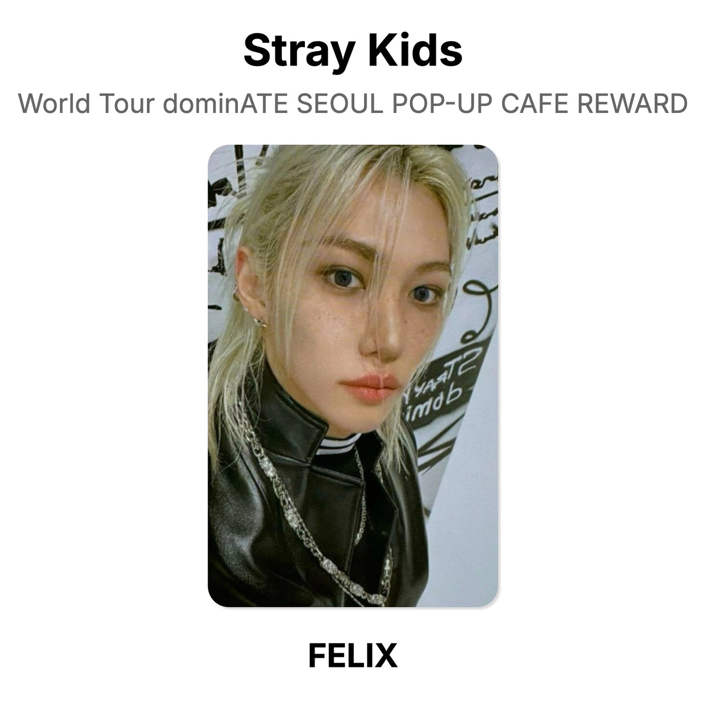 Stray Kids World Tour dominATE SEOUL POP-UP CAFE REWARD photocard oficial