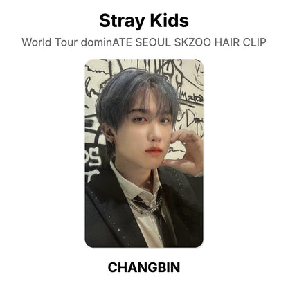 Stray Kids World Tour dominATE SEOUL SKZOO HAIR CLIP photocard oficial