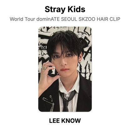 Stray Kids World Tour dominATE SEOUL SKZOO HAIR CLIP photocard oficial