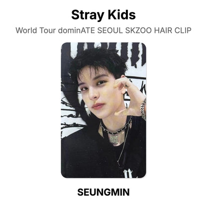 Stray Kids World Tour dominATE SEOUL SKZOO HAIR CLIP photocard oficial