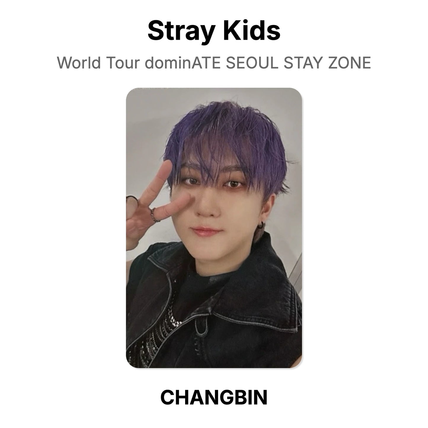 Stray Kids World Tour dominATE SEOUL STAY ZONE photocard resmi