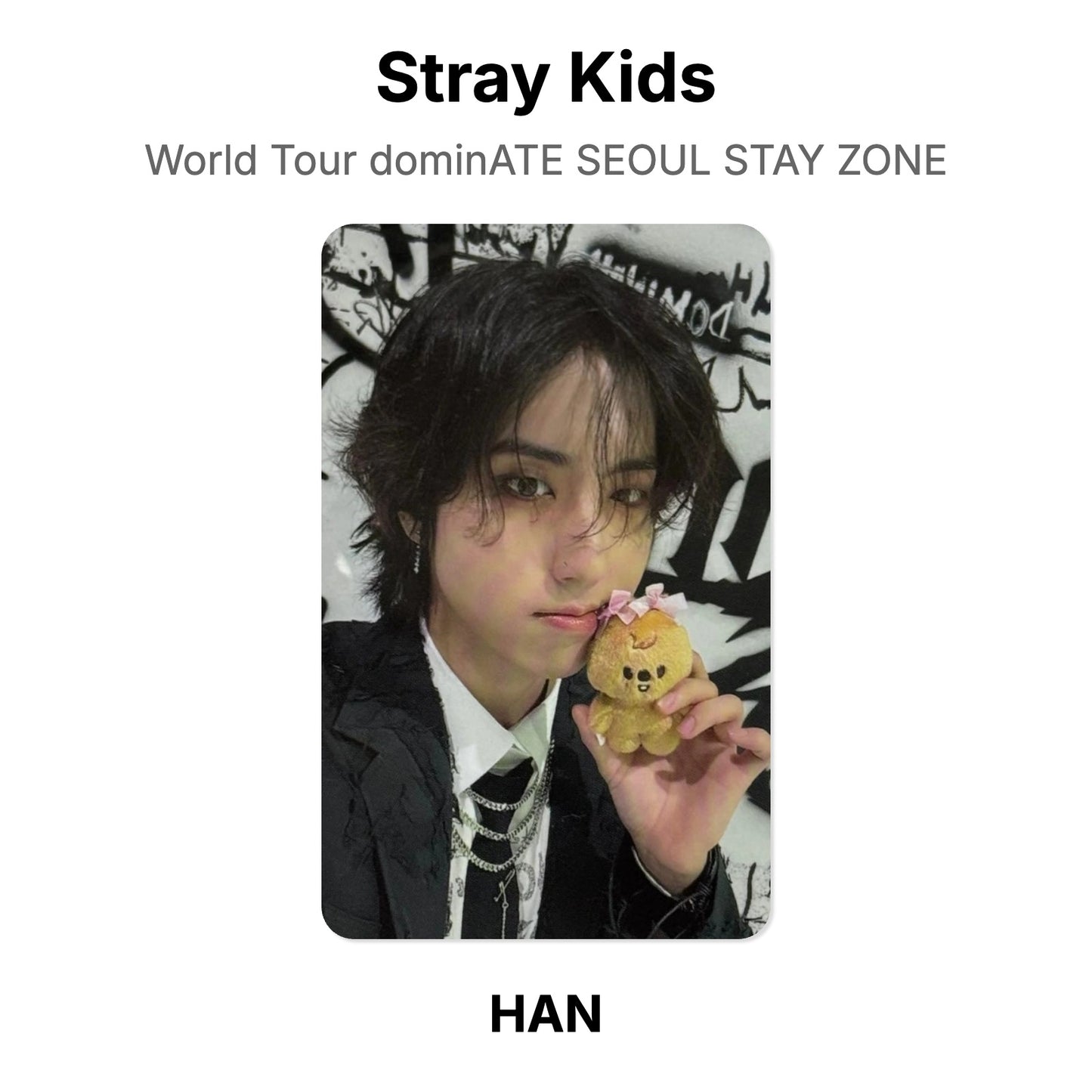 Stray Kids World Tour dominATE SEOUL STAY ZONE photocard resmi