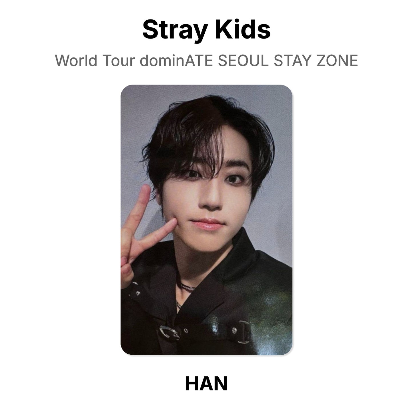 Stray Kids World Tour dominATE SEOUL STAY ZONE photocard resmi