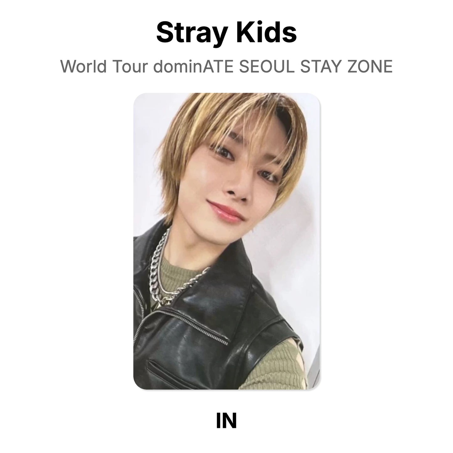 Stray Kids World Tour dominATE SEOUL STAY ZONE photocard resmi