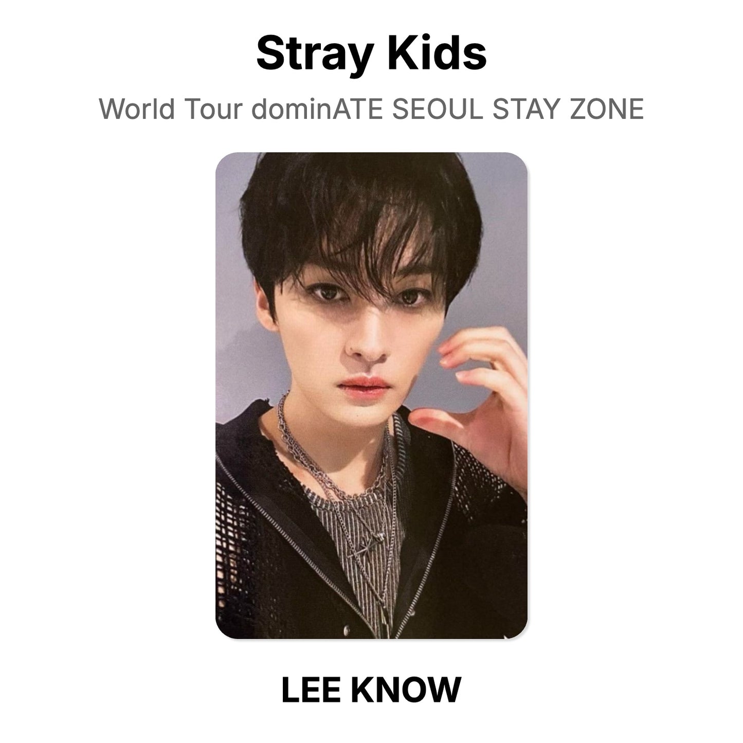 Stray Kids World Tour dominATE SEOUL STAY ZONE photocard resmi