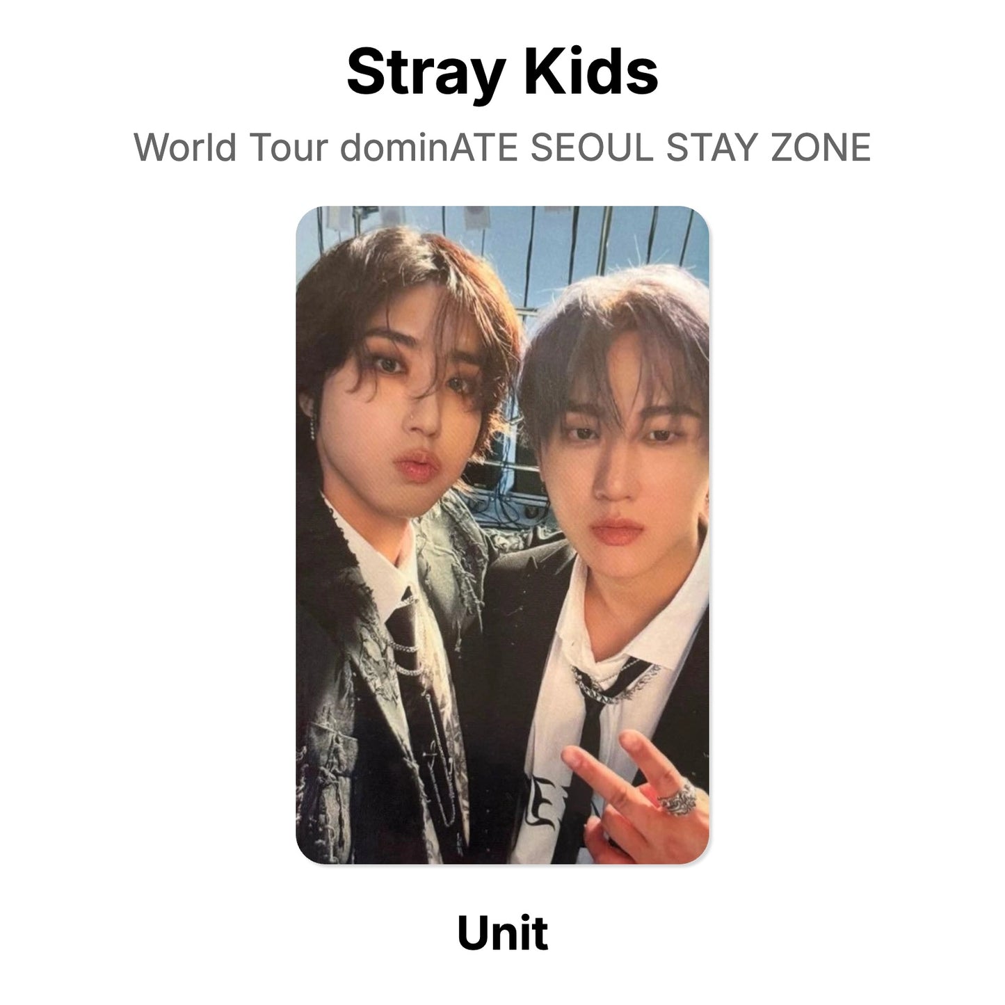 Stray Kids World Tour dominATE SEOUL STAY ZONE photocard resmi